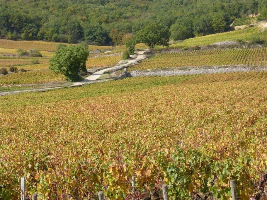 Les Grands Crus - Pommard Holiday home